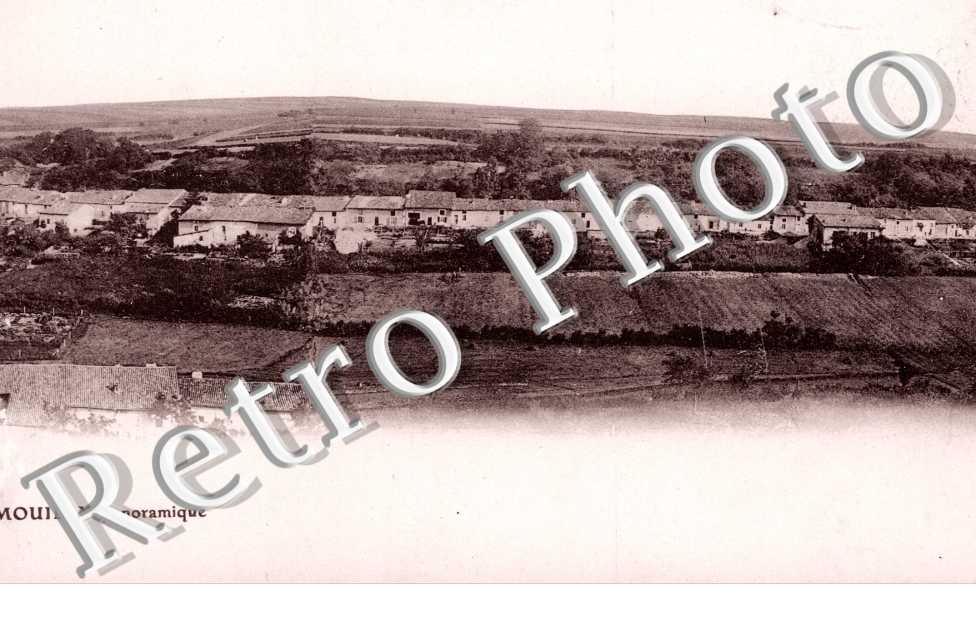 panoramique 
