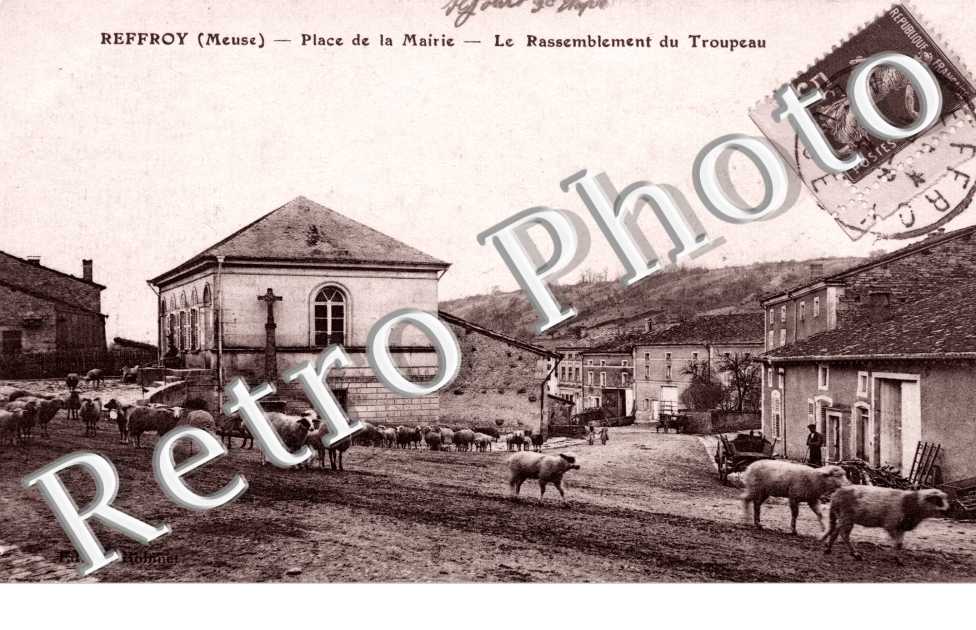 Place de la mairie - le rassemblement du troupeau