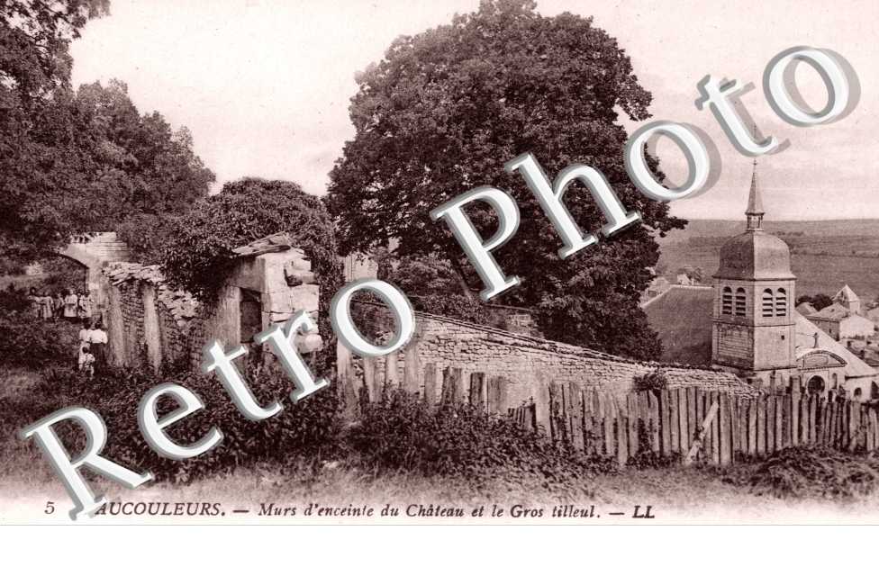Murs d'enceinte du chateau et le gros tilleul