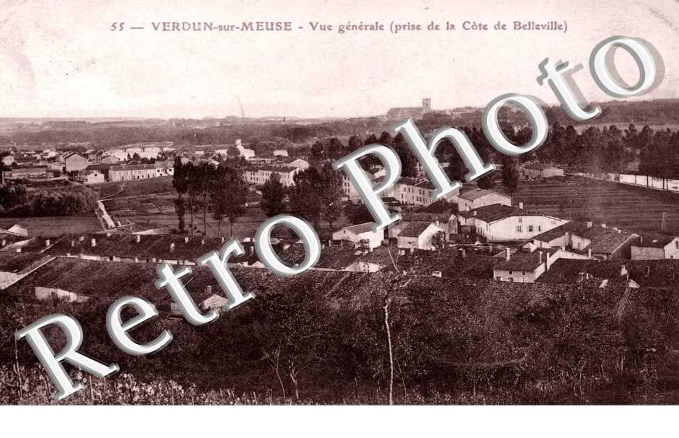 vue generale (prise de la Cote de Belleville)