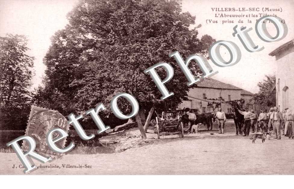 L'Abreuvoir et les Tilleuls