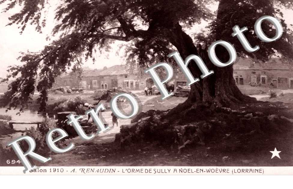 a Renaudin, l' orme de Sully a Noel-en-Woevre