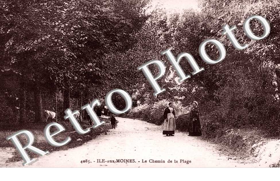 le chemin de la plage
