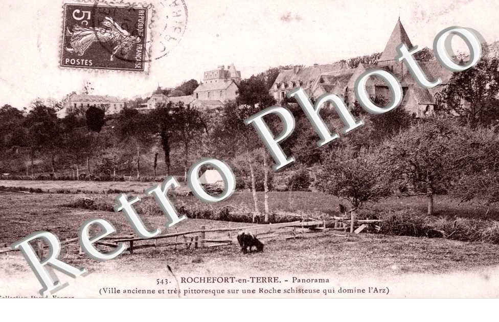 Panorama