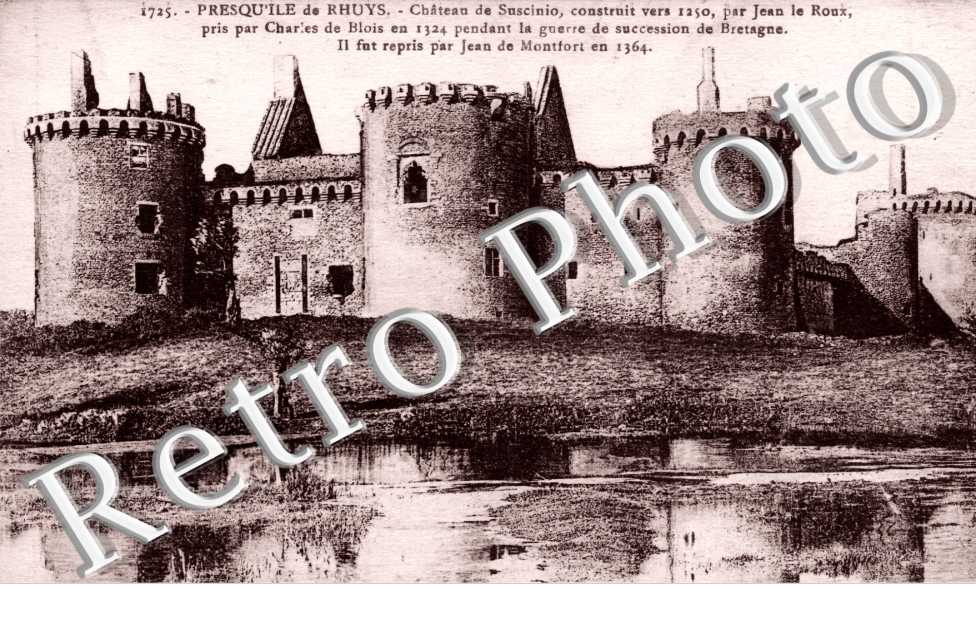 Chateau de Suscinio