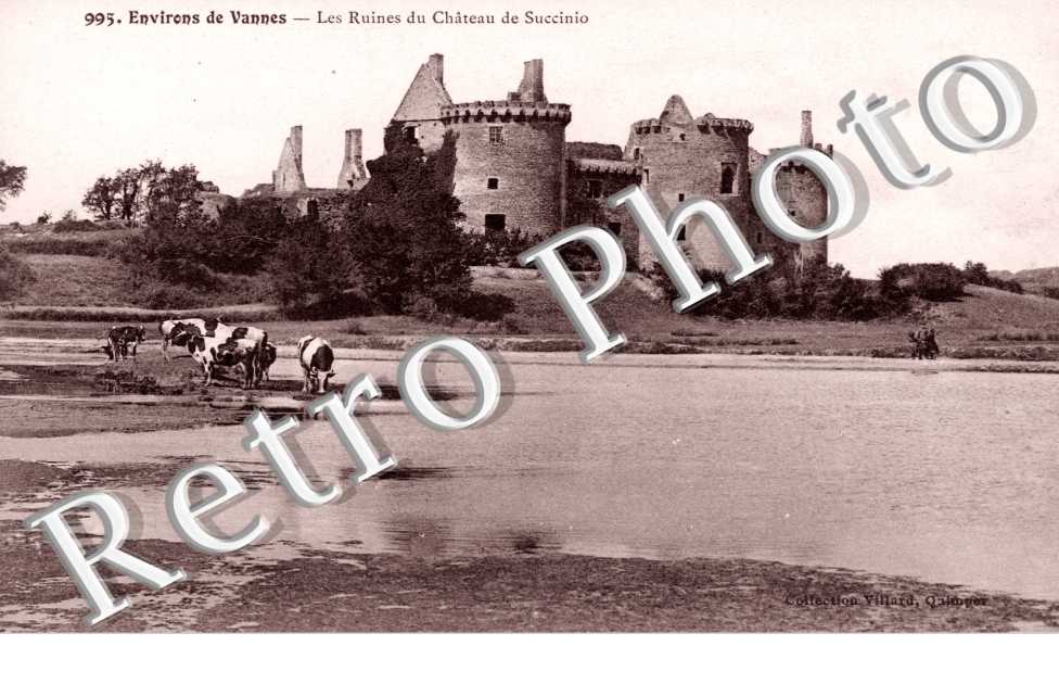 les ruines du chateau de Succinio