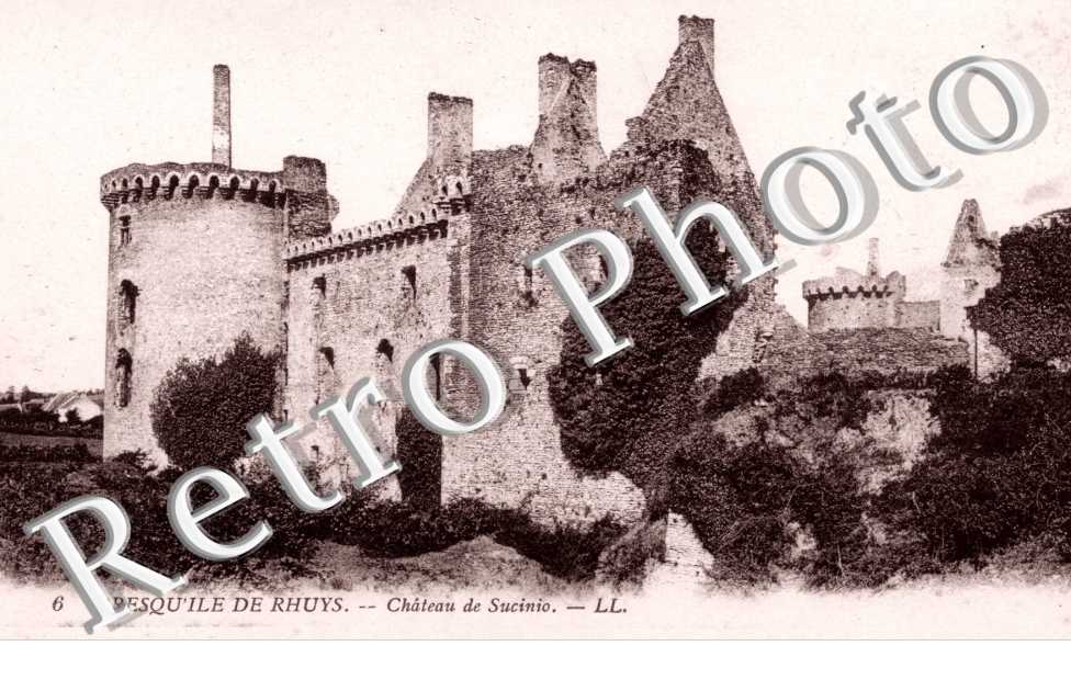 Chateau de Suscinio