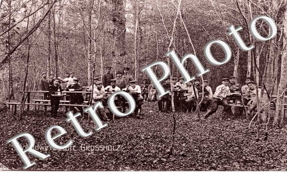 Waldwirtschaft Grossholz