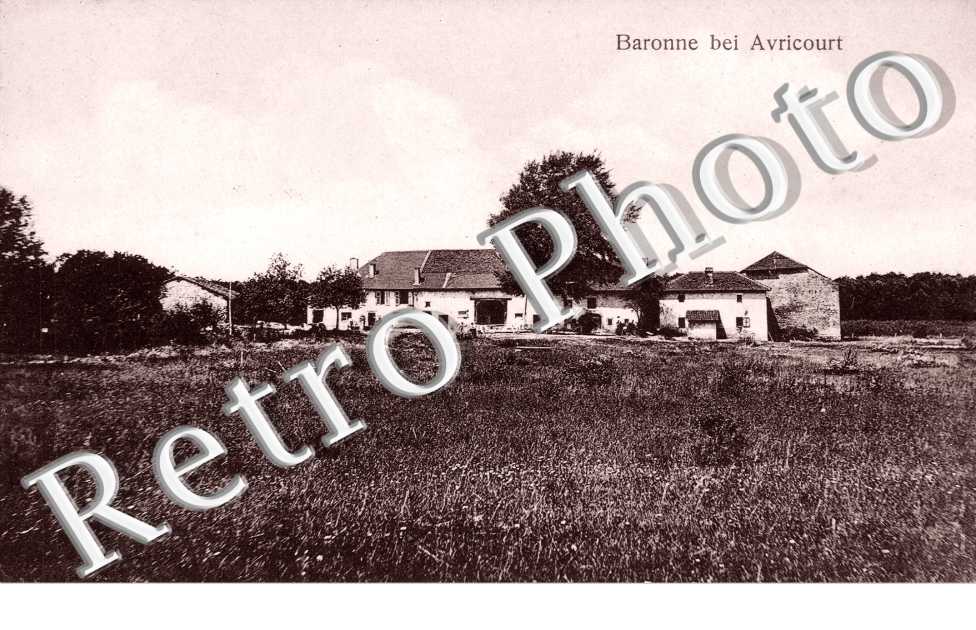 Baronne bei Avricourt