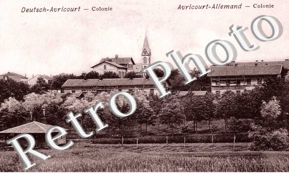 Colonie