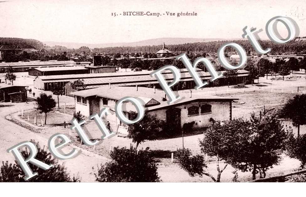 Vue generale du Camp