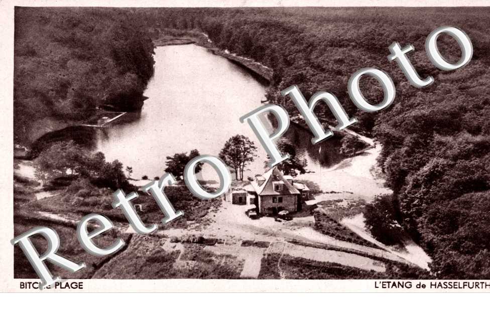 L'Etang de Hasselfurth