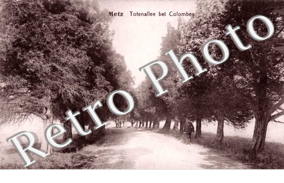 Totenallee bei Colombey