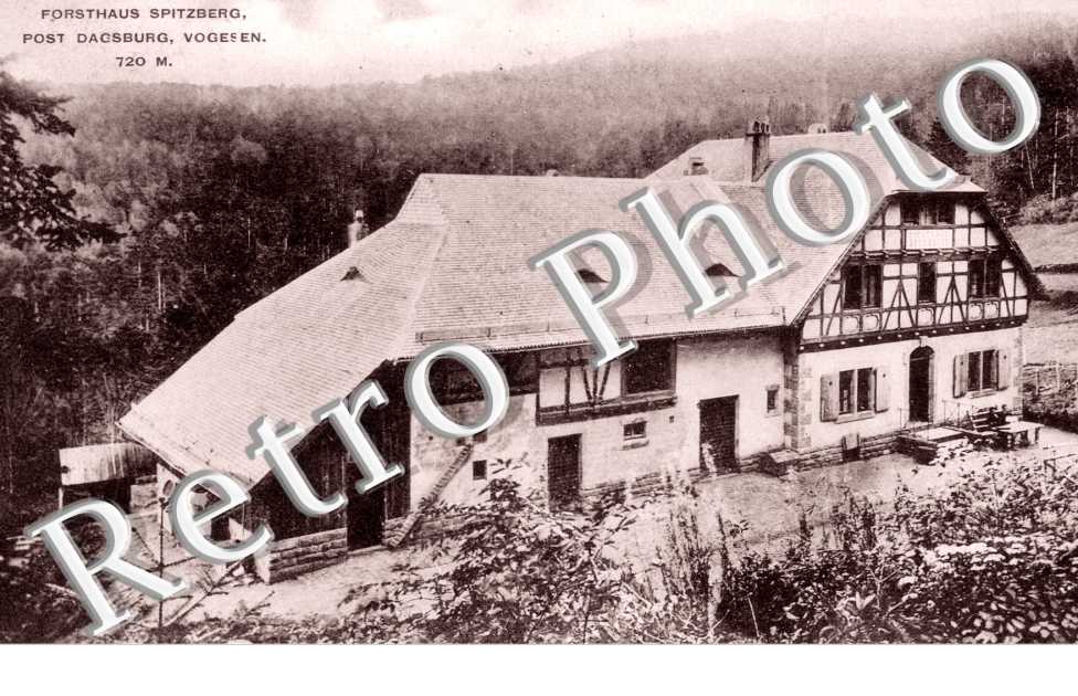 Forsthaus Spitzberg