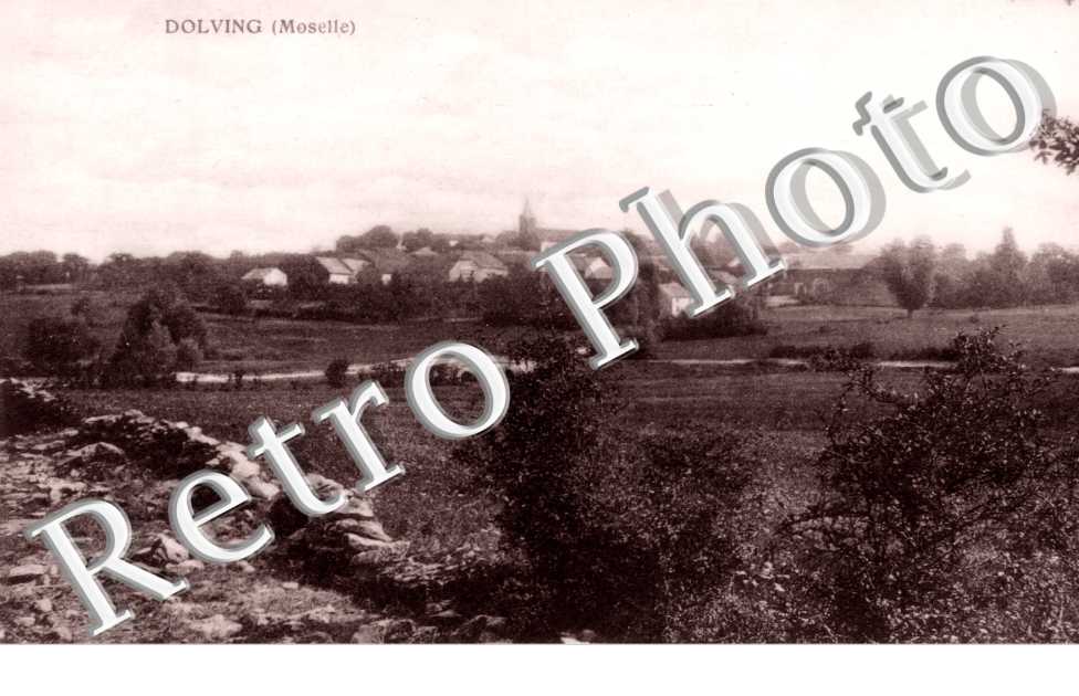 vue d&#039;ensemble