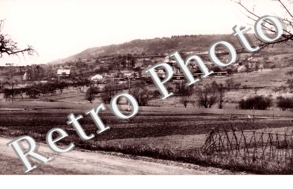 vue d&#039;ensemble