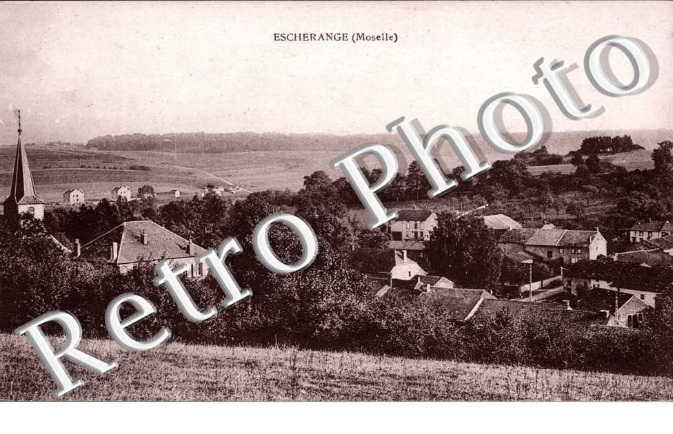 Vue d'Ensemble