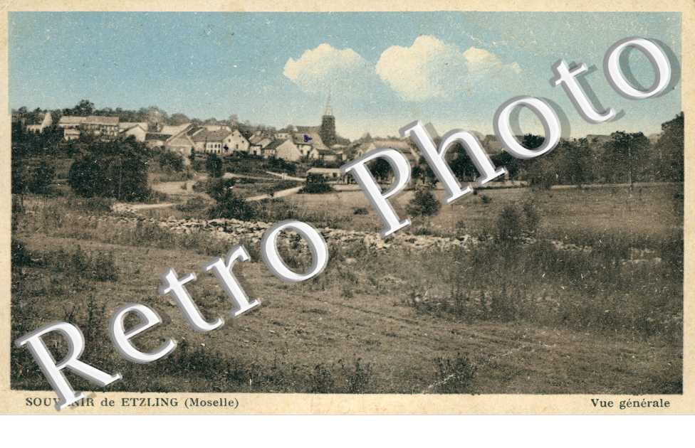 Vue générale 