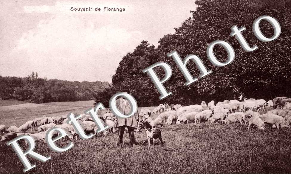 Souvenir de Florange