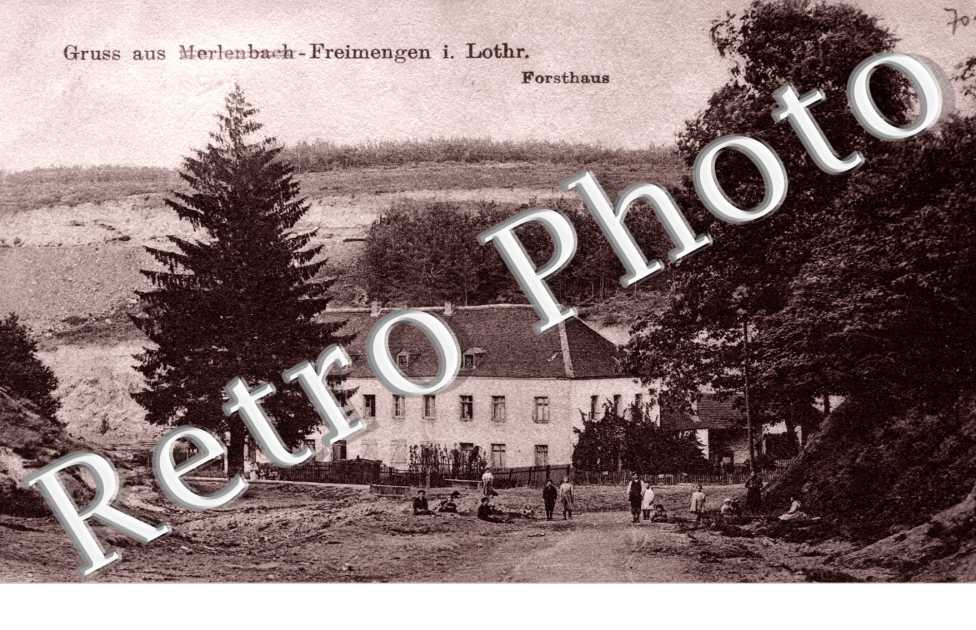 maison forestiere