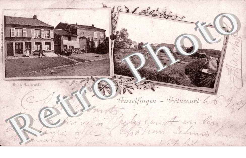 vue sur un jardin