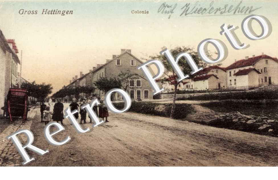 Colonie