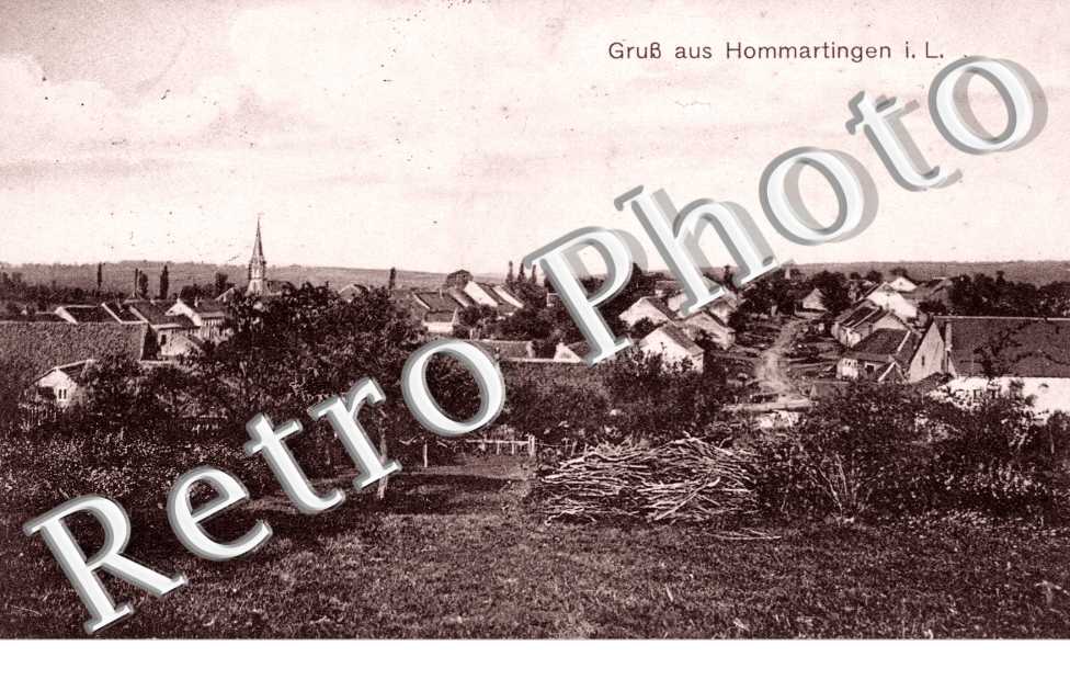 Vue Panoramique