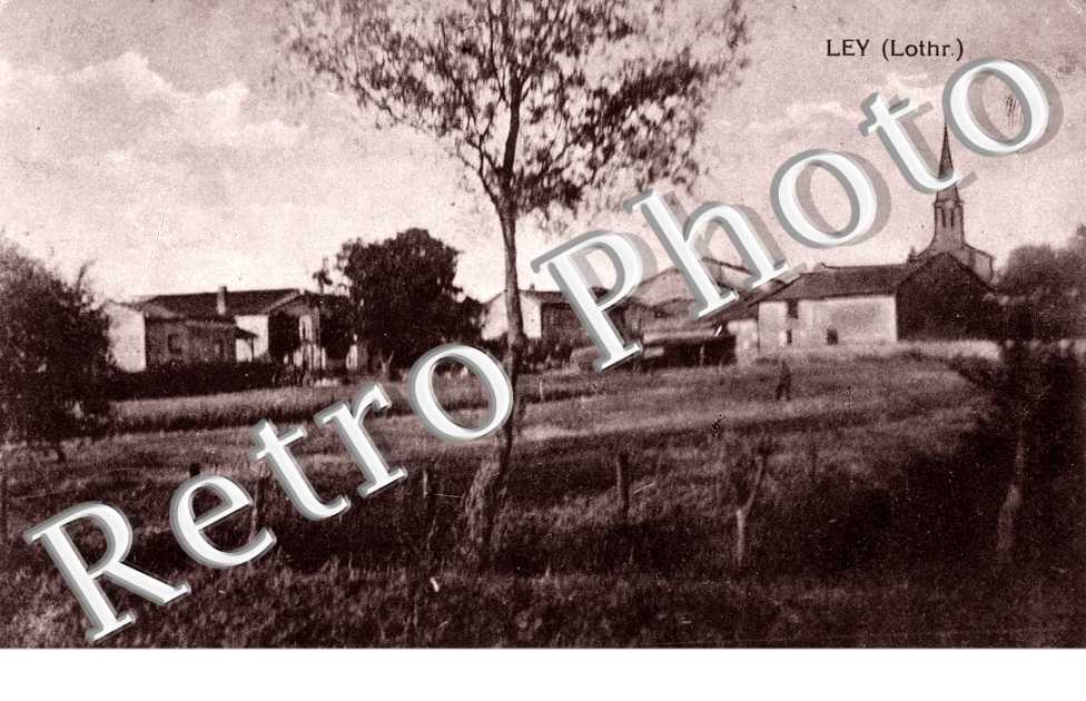 (vue generale)