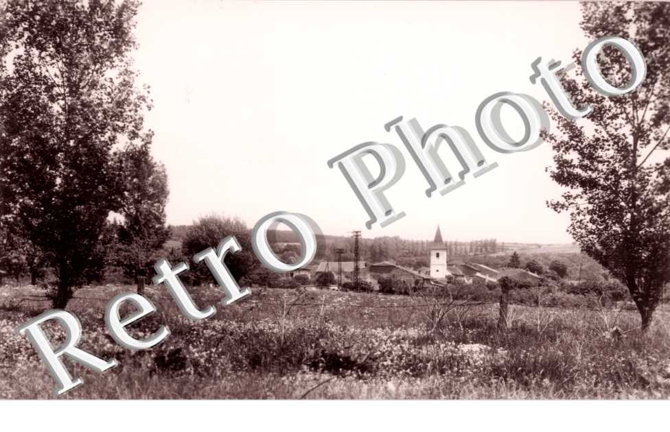 panorama