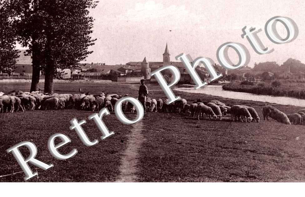 (vue generale, un paysan et ses moutons)
