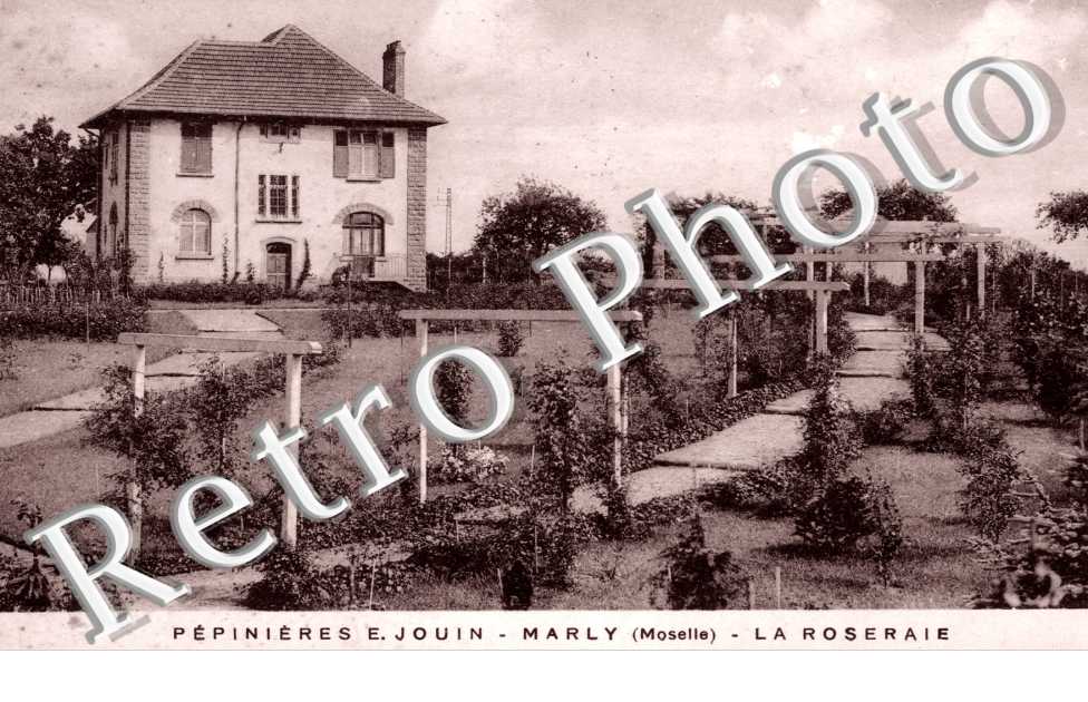 - Pepinieres E. Jouin - la roseraie