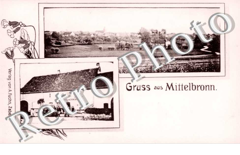 vue generale - Wirtschaft zum Grunenbaum