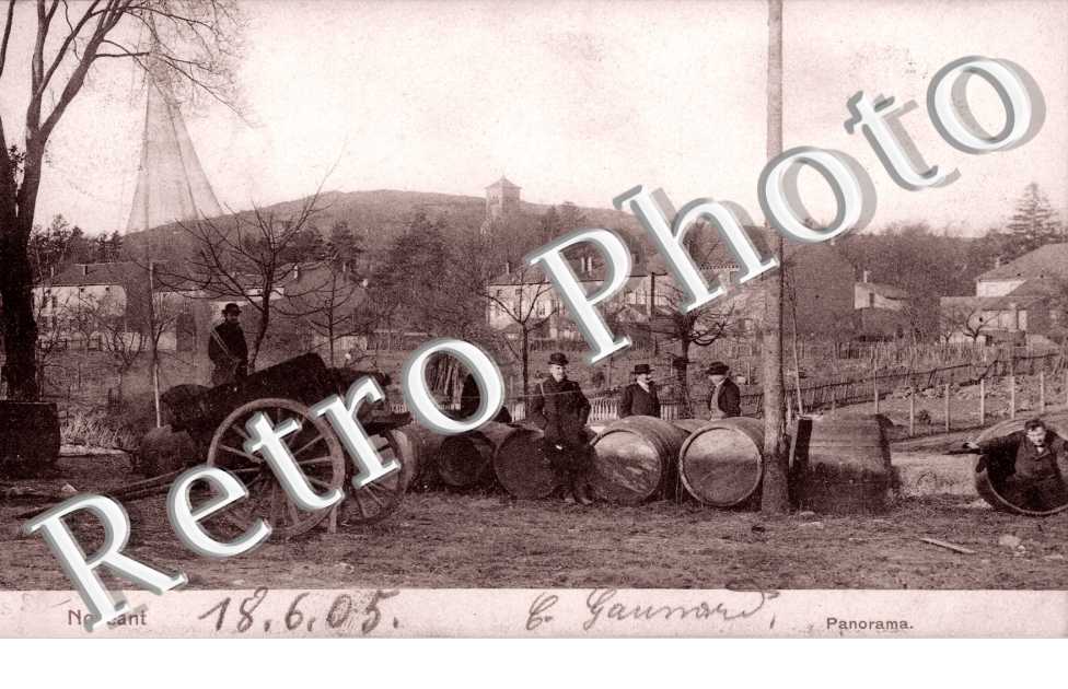 panorama - Nels serie 105 nÂ° 176