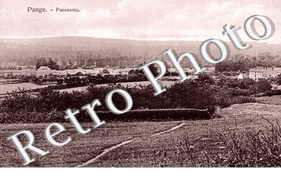 panorama