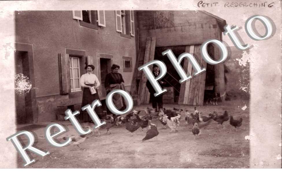 (pas de porte d&#039;une maison avec poules)