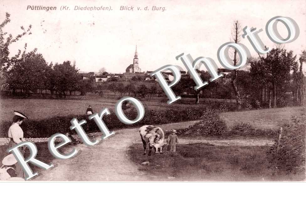 Blick v d Burg