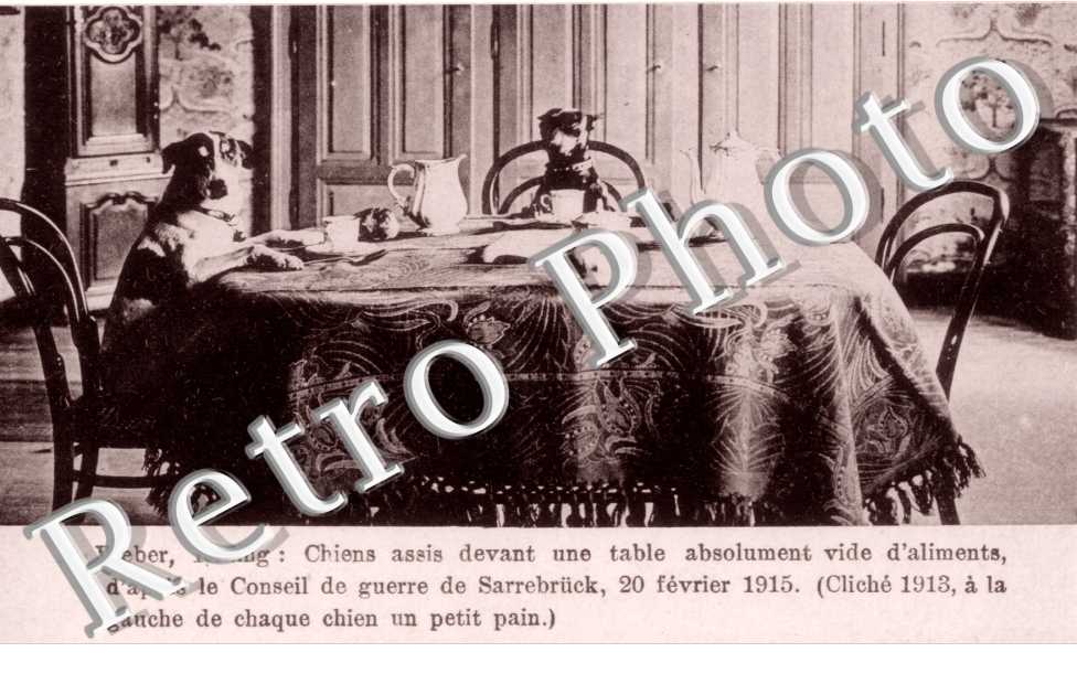 L. Weber, chiens assis a table d&#039;apres le Conseil de Guerre de Sarrebruck