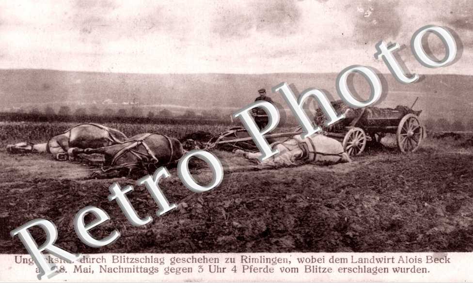 LANDWIRT ALOIS BECK am 18 mai