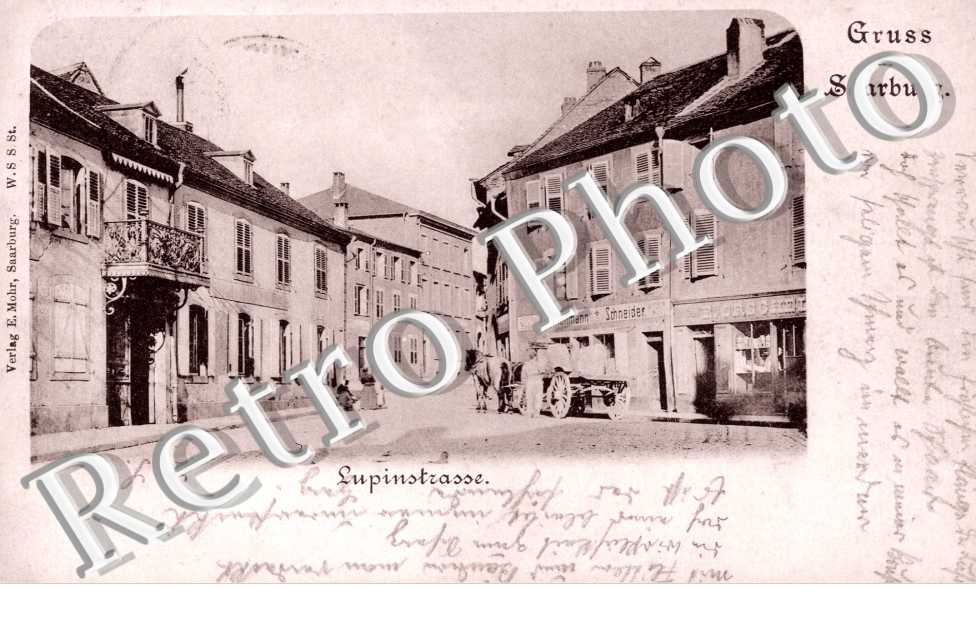 Lupinstrasse