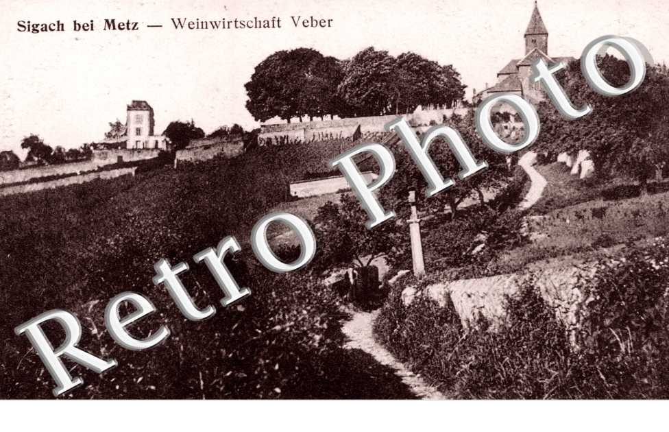 Weinwirtschaft Veber