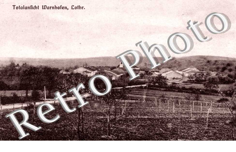 Totalansicht Warnhofen