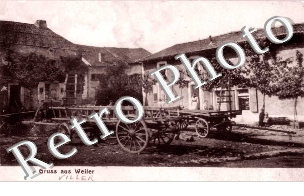 Ferme