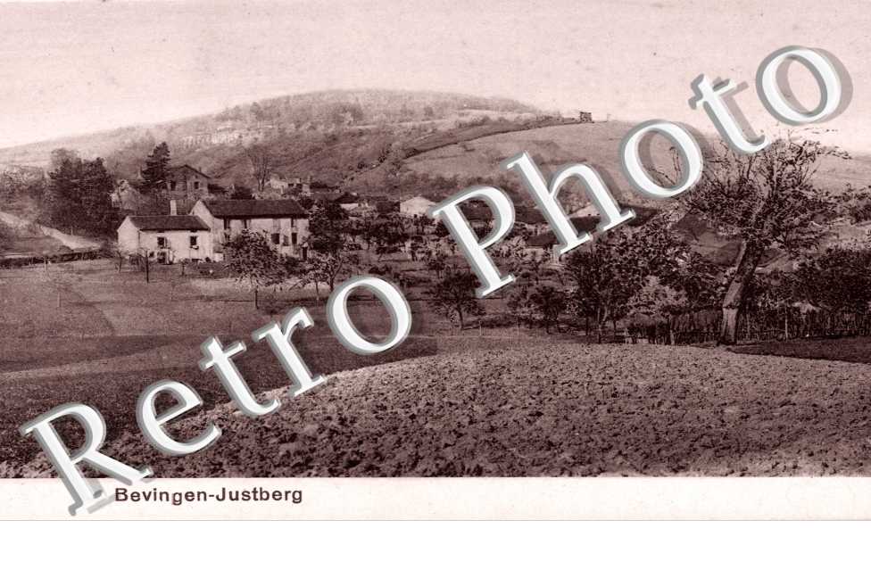 ( vue generale )