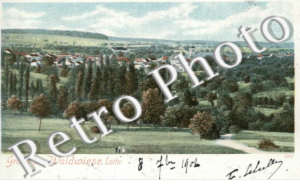 Waldwiese Ansicht vom LOhwalde 1901