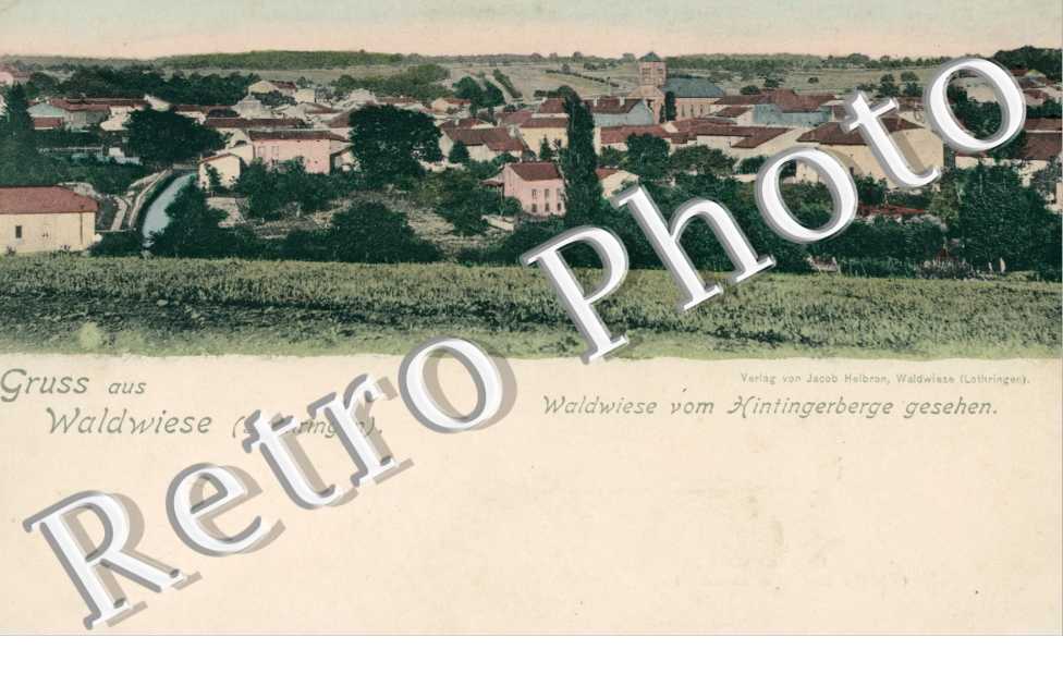 Waldwiese vom Hintingerberge  1900