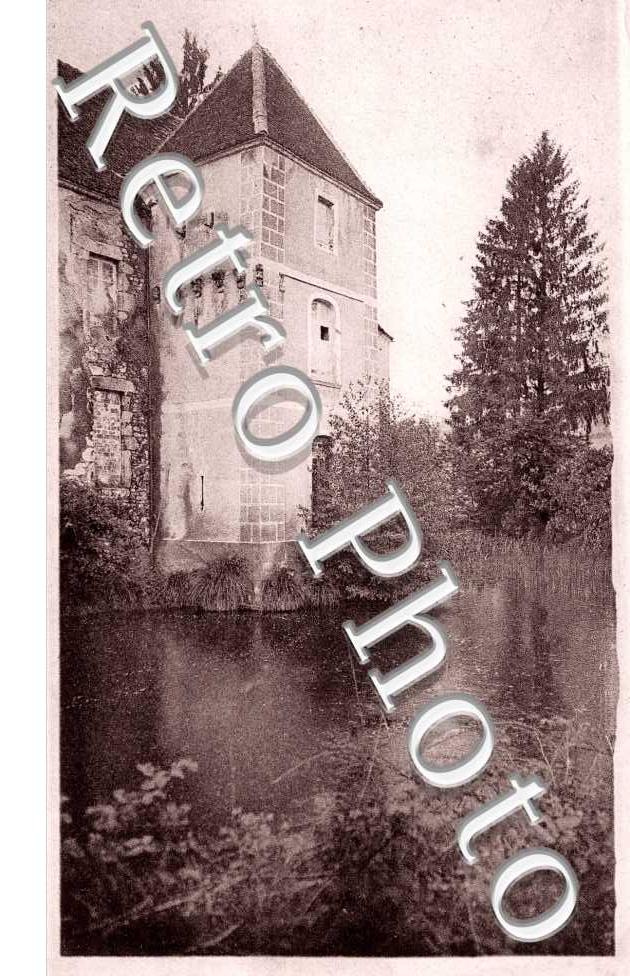 le chateau et les fosses