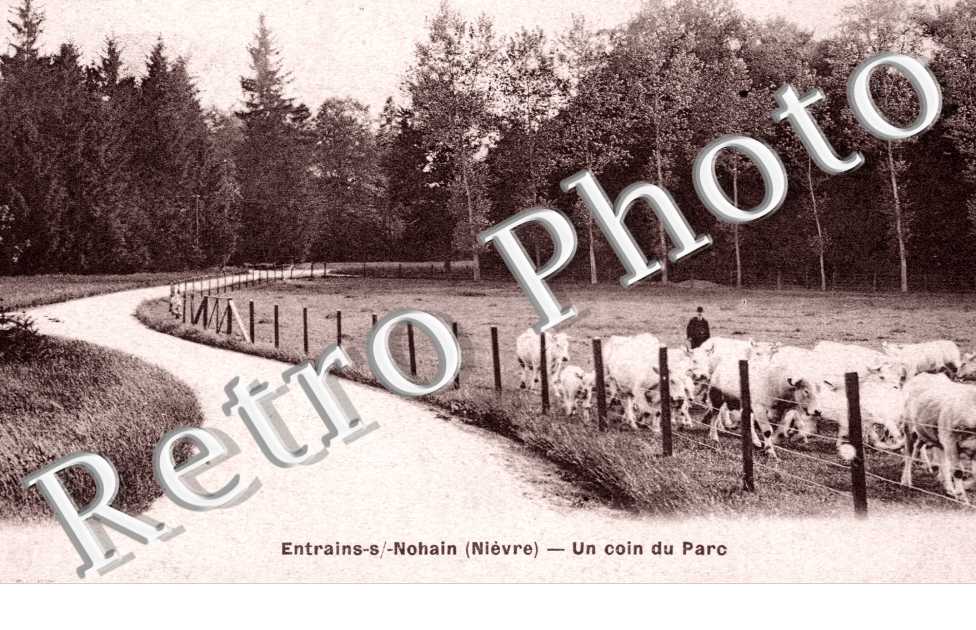 un coin du parc