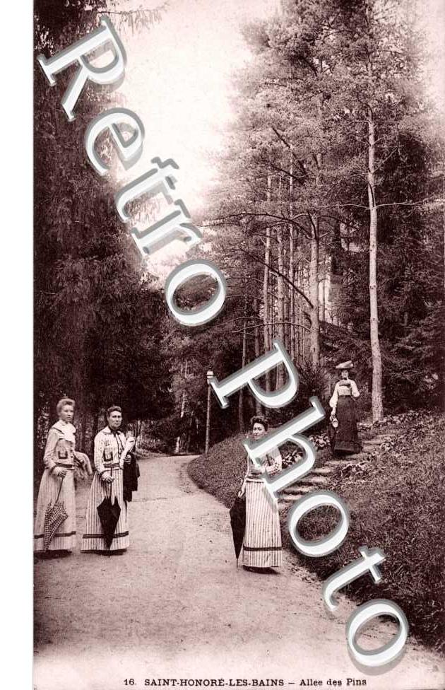 Allee des pins