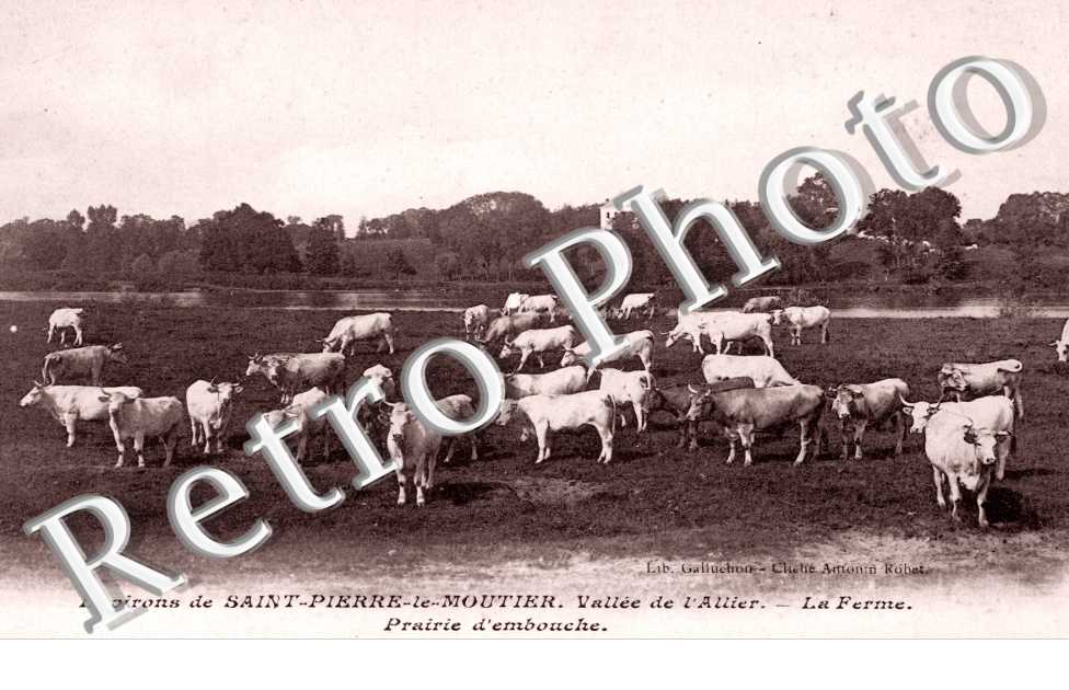 La ferme - Vallée de l'Allier