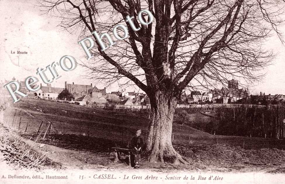 le Gros Arbre, Sentier de la Rue d&#039;Aire